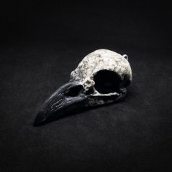 Ragnar – naszyjnik, duży kruk w wersji czarno-białej z naszej kolekcji biżuterii stylizowanej na ptasie czaszki.