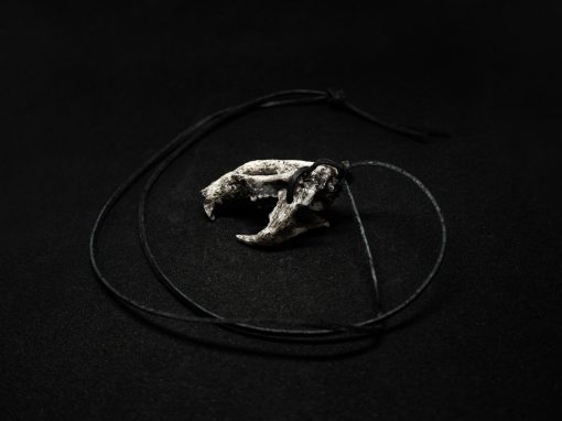 Piotrek, czaszka myszy z naszej kolekcji biżuterii stylizowanej na czaszki ssaków.