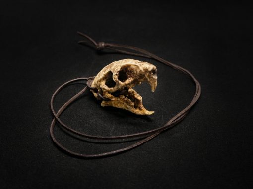 Józef, czaszka szczura górskiego z naszej kolekcji biżuterii stylizowanej na czaszki ssaków.